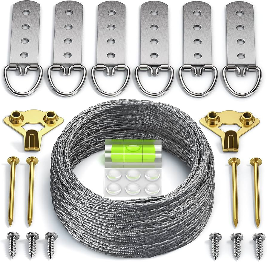 Heavy Duty Picture Wire Hanging Kit - D-Ring, Screws, Hanging Hooks,Level. Supports up to 100 lbs... | Amazon (US)