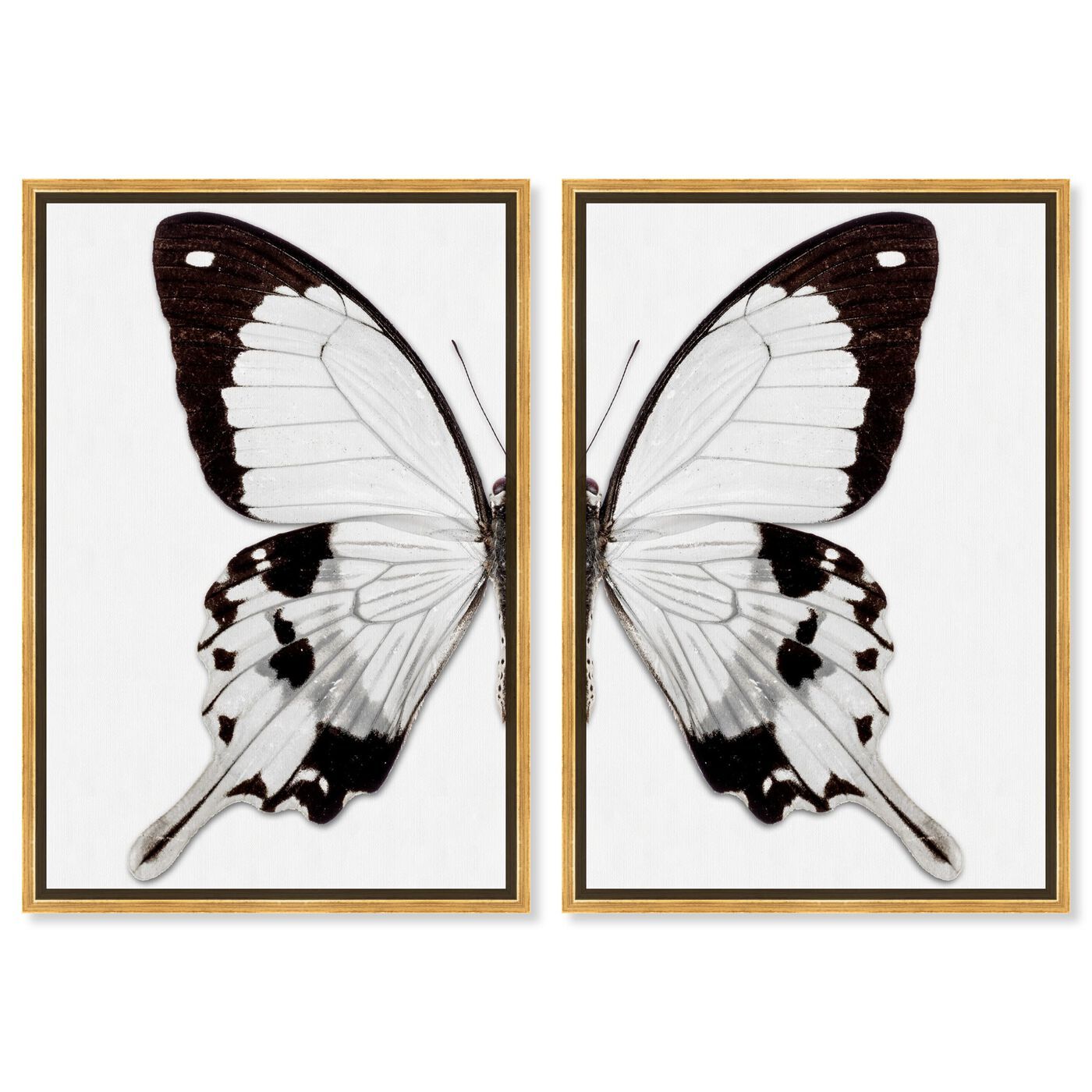 Monochrome Butterfly I and II Wings SET | Wall Art by The Oliver Gal | Oliver Gal