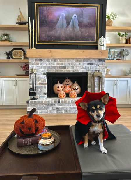 Count Kiwi in tha house 🧛🏻‍♀️🐾 What’s a vampire’s favorite breed of dog? 

A Bloodhound 😂 COMMENT KIWI and I’ll send you the links! 

I got so much cute pet stuff @walmart and Kiwi approved of everything… even the costume but mostly because she knew she’d get a Greenie treat which she’s obsessed with! 🐶 #walmartpartner 

Shop all of these plus more pet costumes and Halloween finds on my LTK in my bio. 

@walmart #walmartpets #petcostume #halloweencostume #dogcostume #walmartfinds #spookyseason

#LTKHalloween #LTKSeasonal #LTKfamily