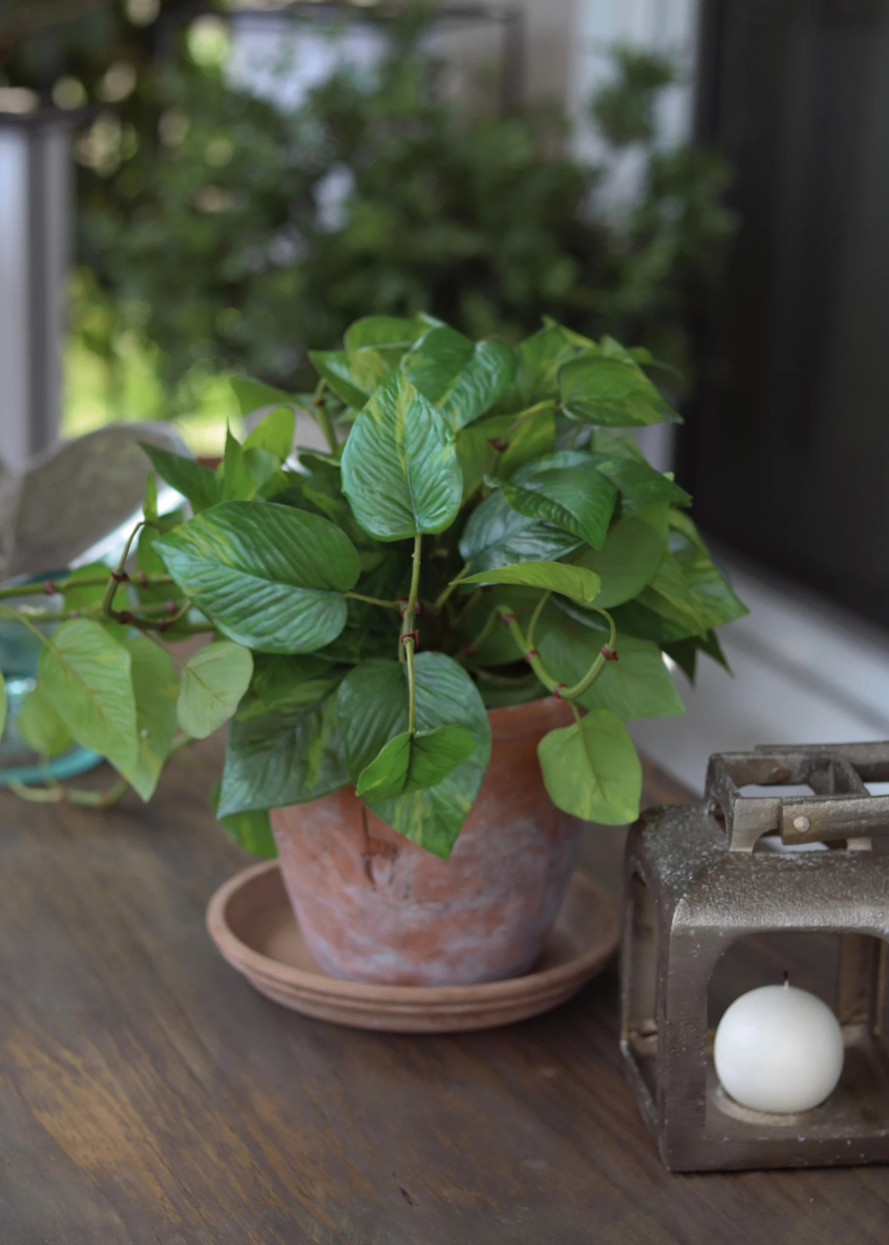Real Touch Pothos in Pot | Outdoor UV Treated Fake Plants | Afloral | Afloral