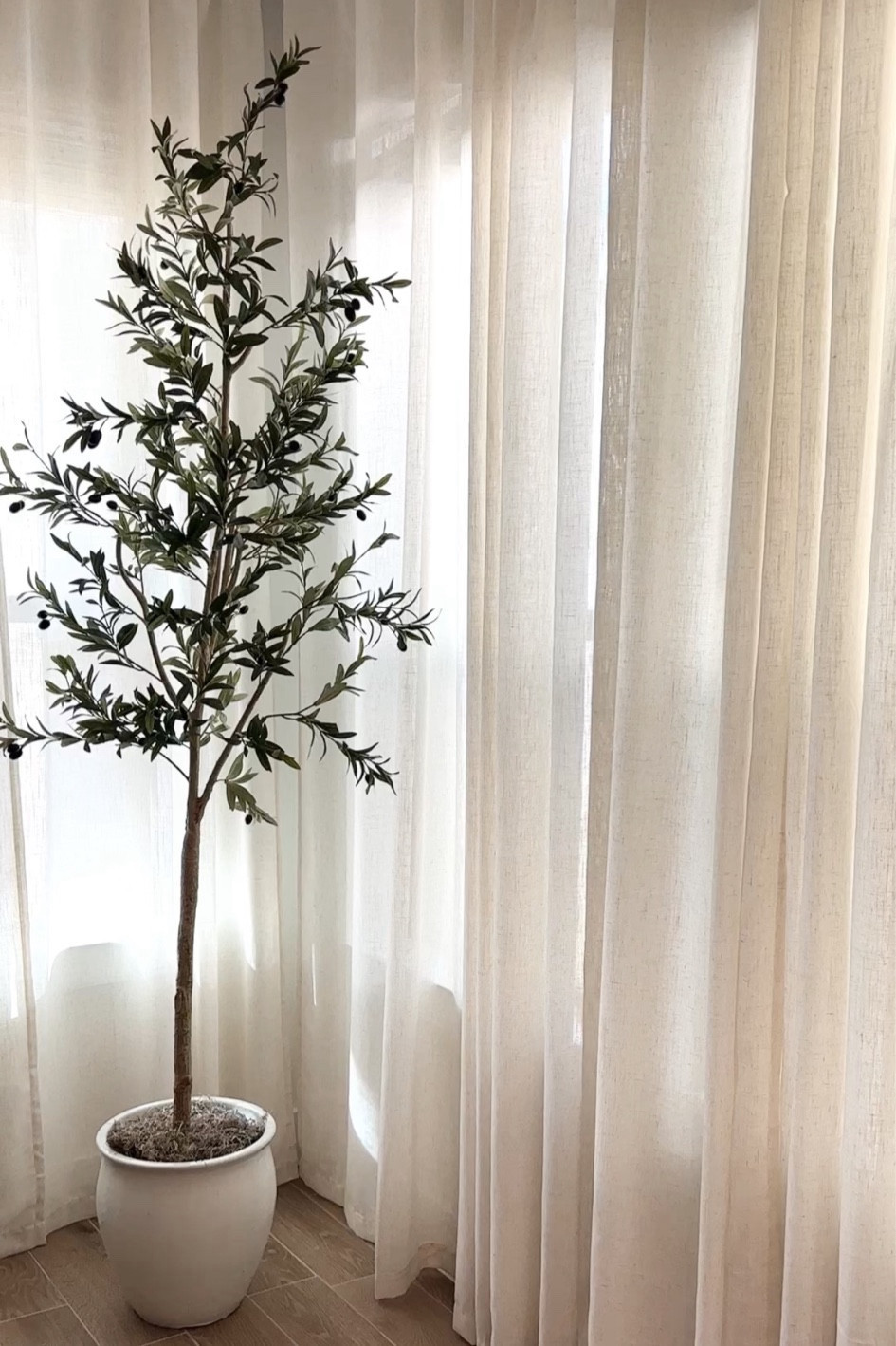 Amazon olive tree
Amazon curtains
Faux olive tree
White planter  

Planter pot is sold out from last year, but I’ve linked similar!

#LTKhome #LTKfindsunder100