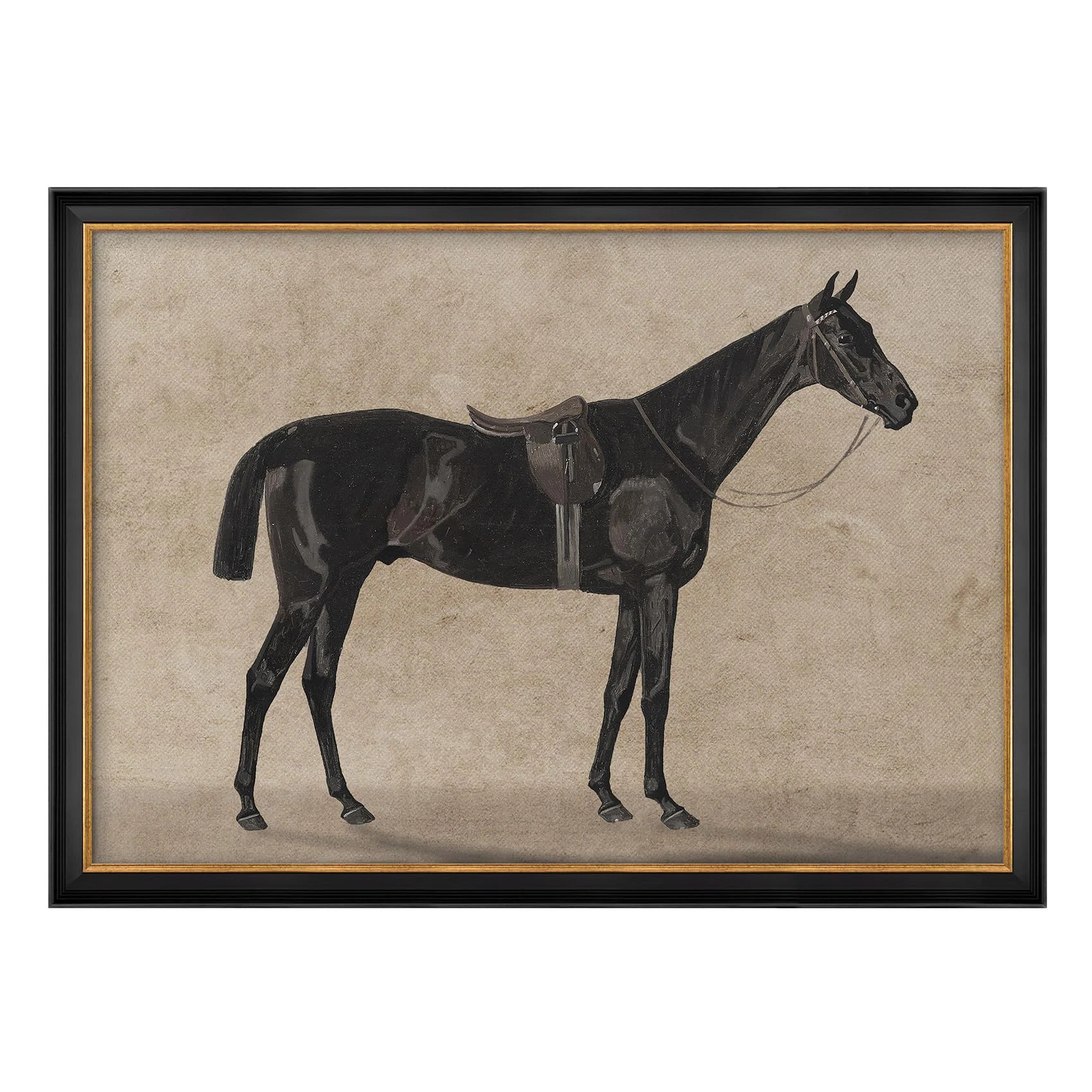 " Vintage Black Horse Classic Equestrian Illustrations Impressionism Framed Wall Art Decoration " | Wayfair North America