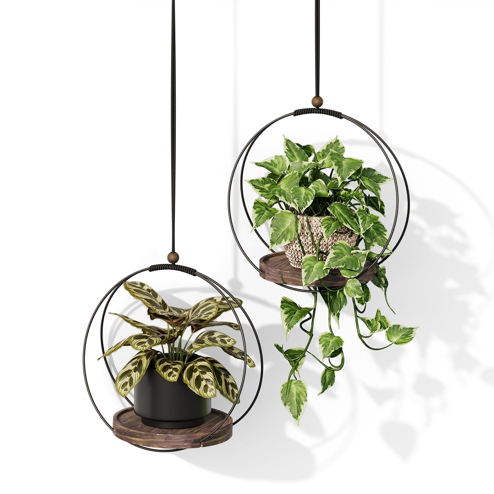 Bamworld Plant Hangers Indoor Wall Plant Holders Hanging Planters for Indoor Plants Window Plant ... | Amazon (US)