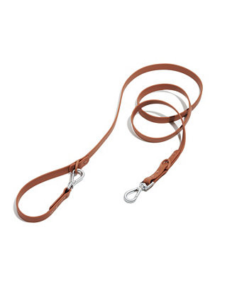 Standard Leash for Dogs | Macy's Canada