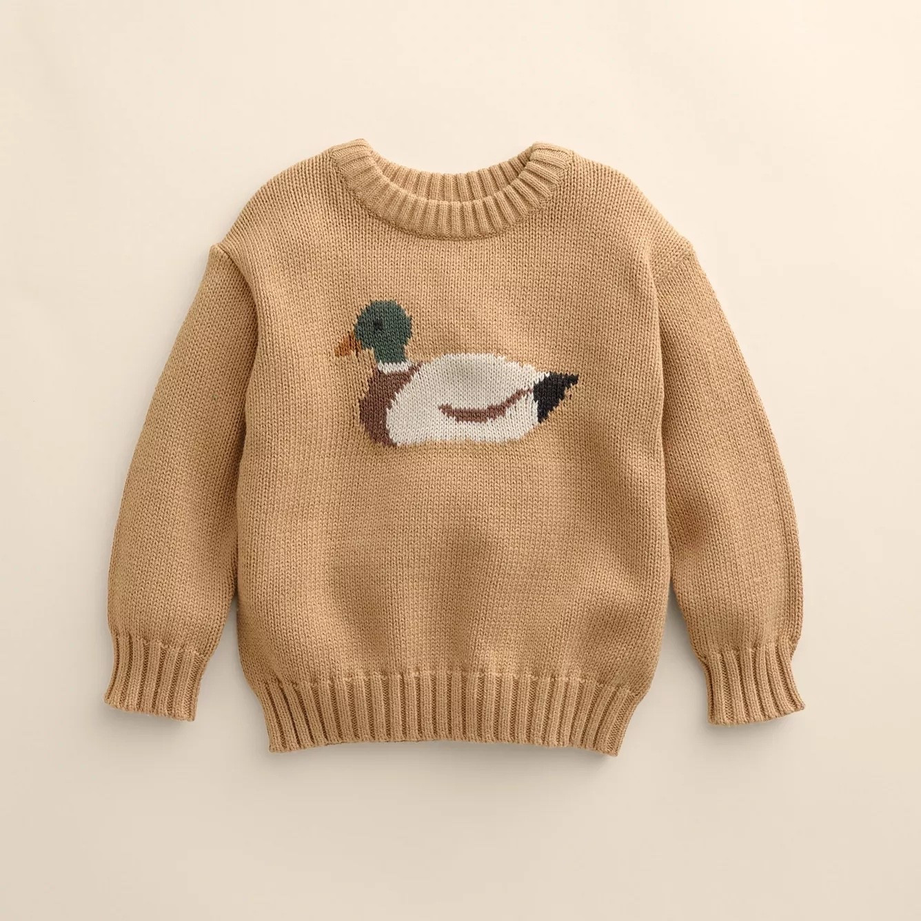 Baby & Toddler duck sweater on sale! Perfect for fall family photos

#LTKKids #LTKBaby #LTKSaleAlert