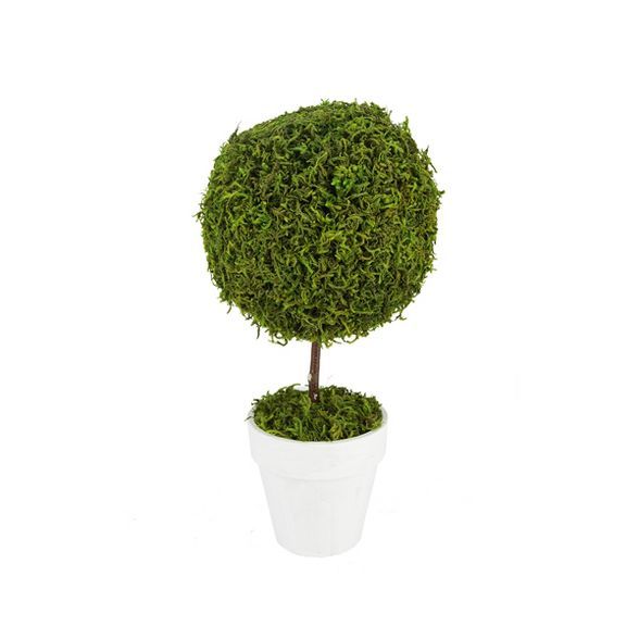 Northlight 15" Reindeer Moss Ball Potted Artificial Spring Topiary Tree - Green/White | Target
