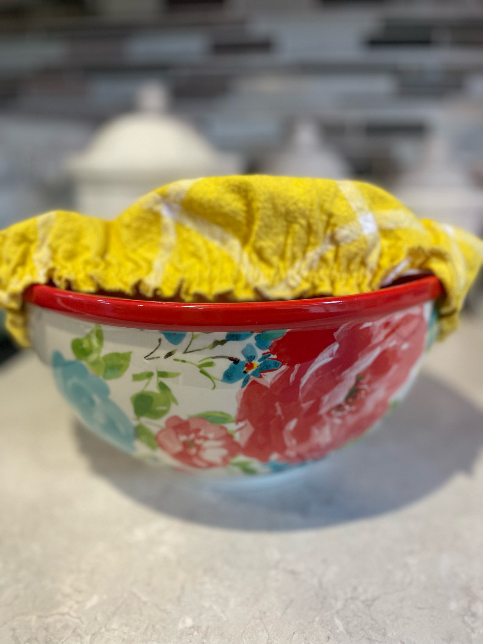 Bread bowl & cloth cover. 
Love this combo for making homemade bread 