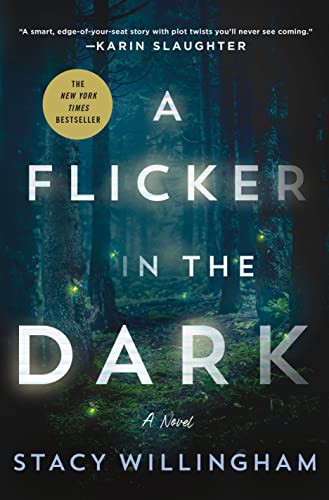 A Flicker in the Dark: A Novel    Kindle Edition | Amazon (US)