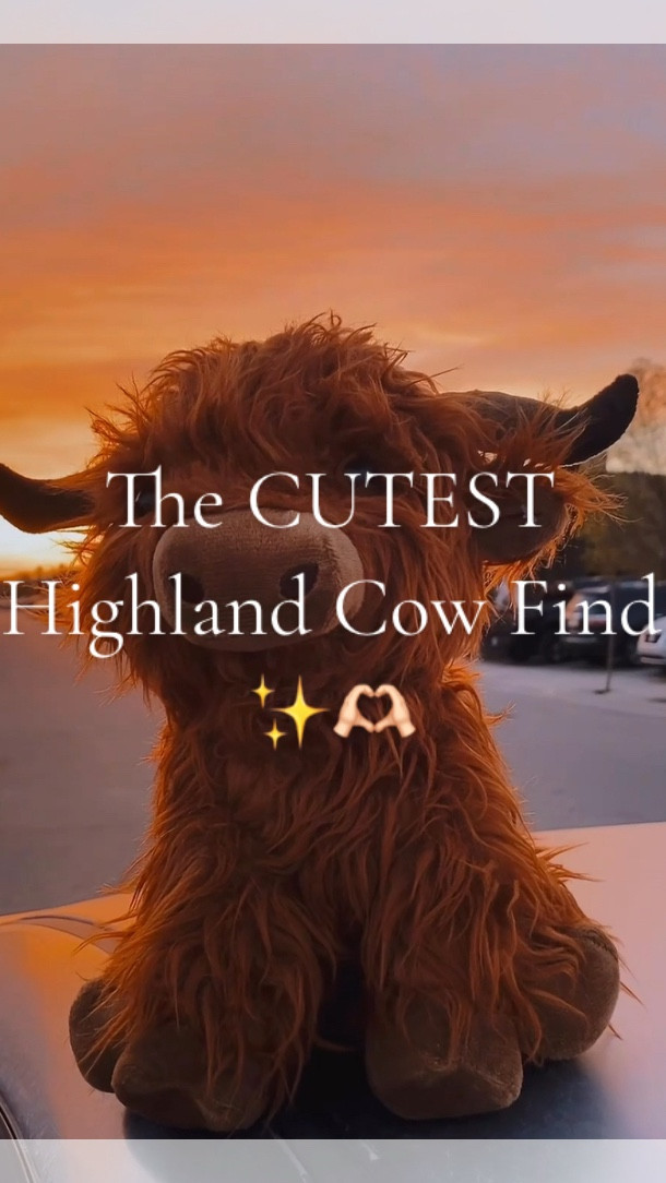 You kinda deserve this in your life 🤠🤎
Also find them in my TikTok shop, Amazon storefront & Link tree Storefront 🔗🫶🏻🤎 #westernfinds #highlandcow #cowplushie #plushies #cows #cowsofig #westernaesthetic #onlycowgirls #cowgirls #cowplush #cowgirlaesthetic #sendthistothem 

#LTKHome #LTKSaleAlert #LTKFindsUnder50