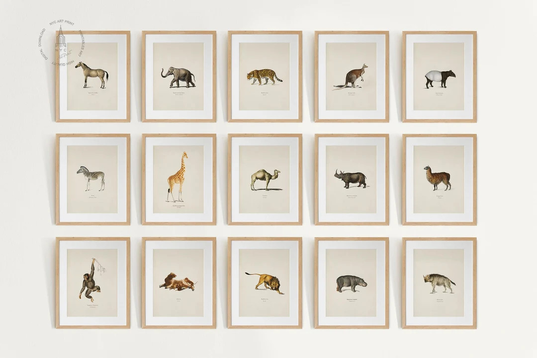 Safari Animal Gallery Wall Set of 15, Safari Nursery Art Prints, Vintage Animal Painting, Animal ... | Etsy (US)