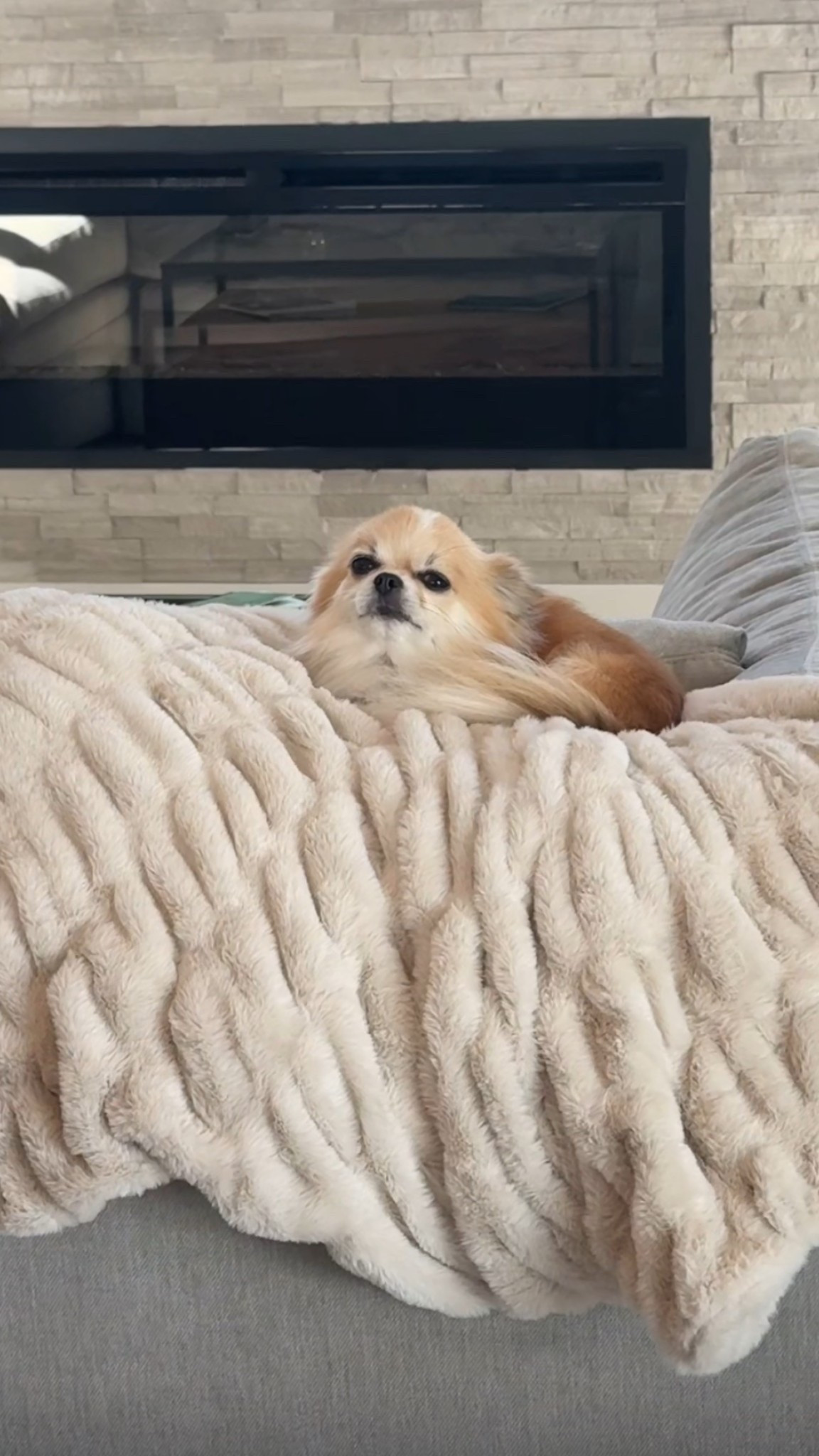 This is the most comfortable blanket ever! Comes in so many sizes too we love the XL and so do our dogs!

#LTKmorningroutine #LTKHome #LTKselfcare