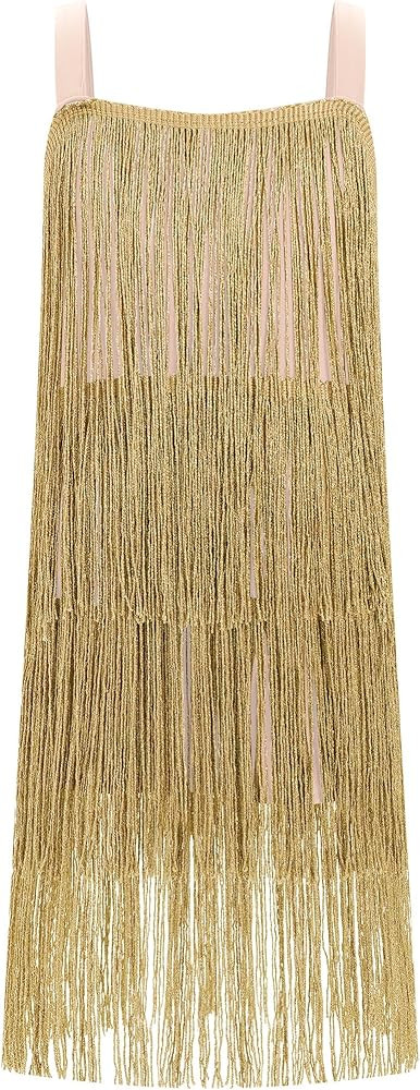 AFAVOM Toddler Girls Latin Dance Dress with Tassels, Fringe Cami, Salsa & Ballroom Style for Cha ... | Amazon (US)
