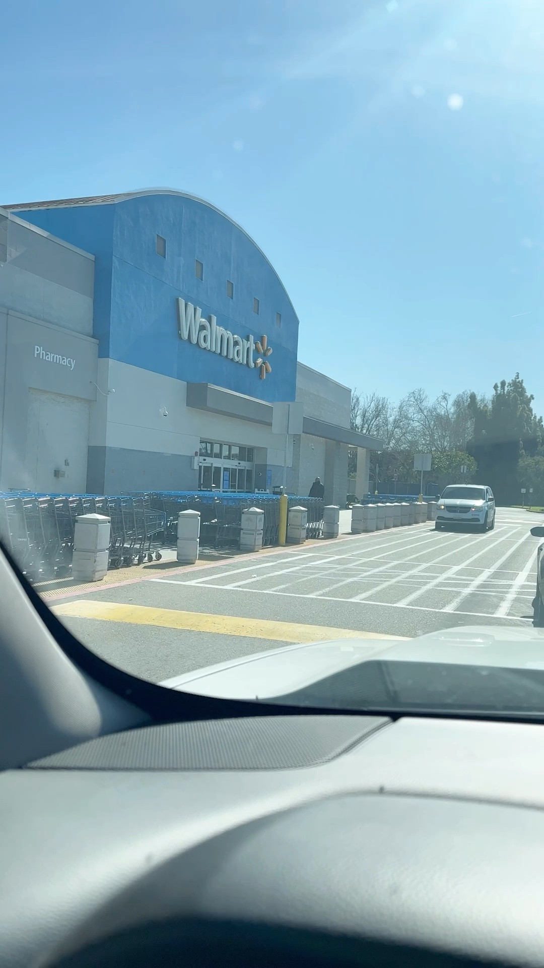 Plant things at Walmart, great prices!

#LTKunder50 #LTKhome #LTKsalealert