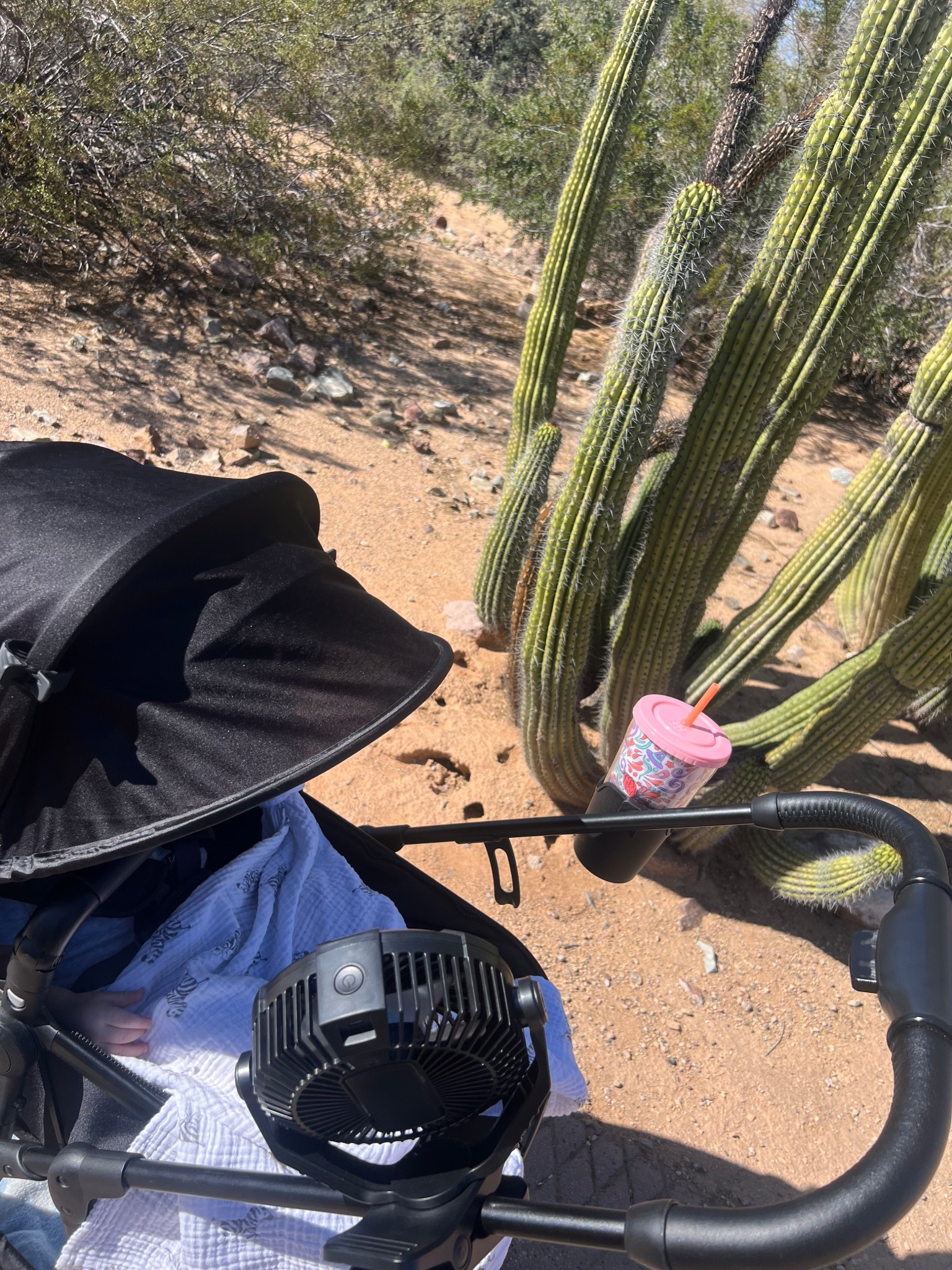 #LTKSeasonal #LTKBaby