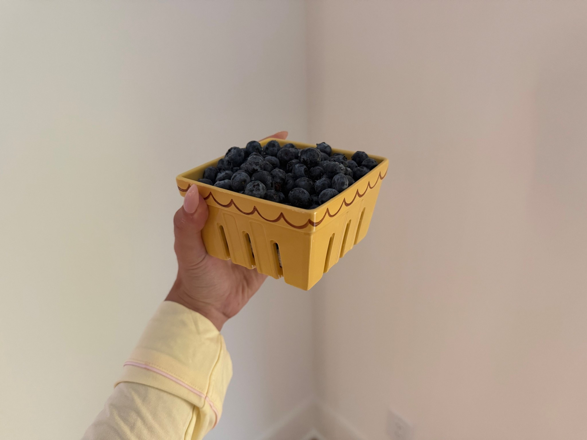 The best berry storage🫐

#LTKHome