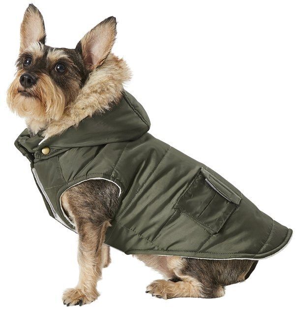 Frisco Portland Insulated Dog & Cat Parka | Chewy.com