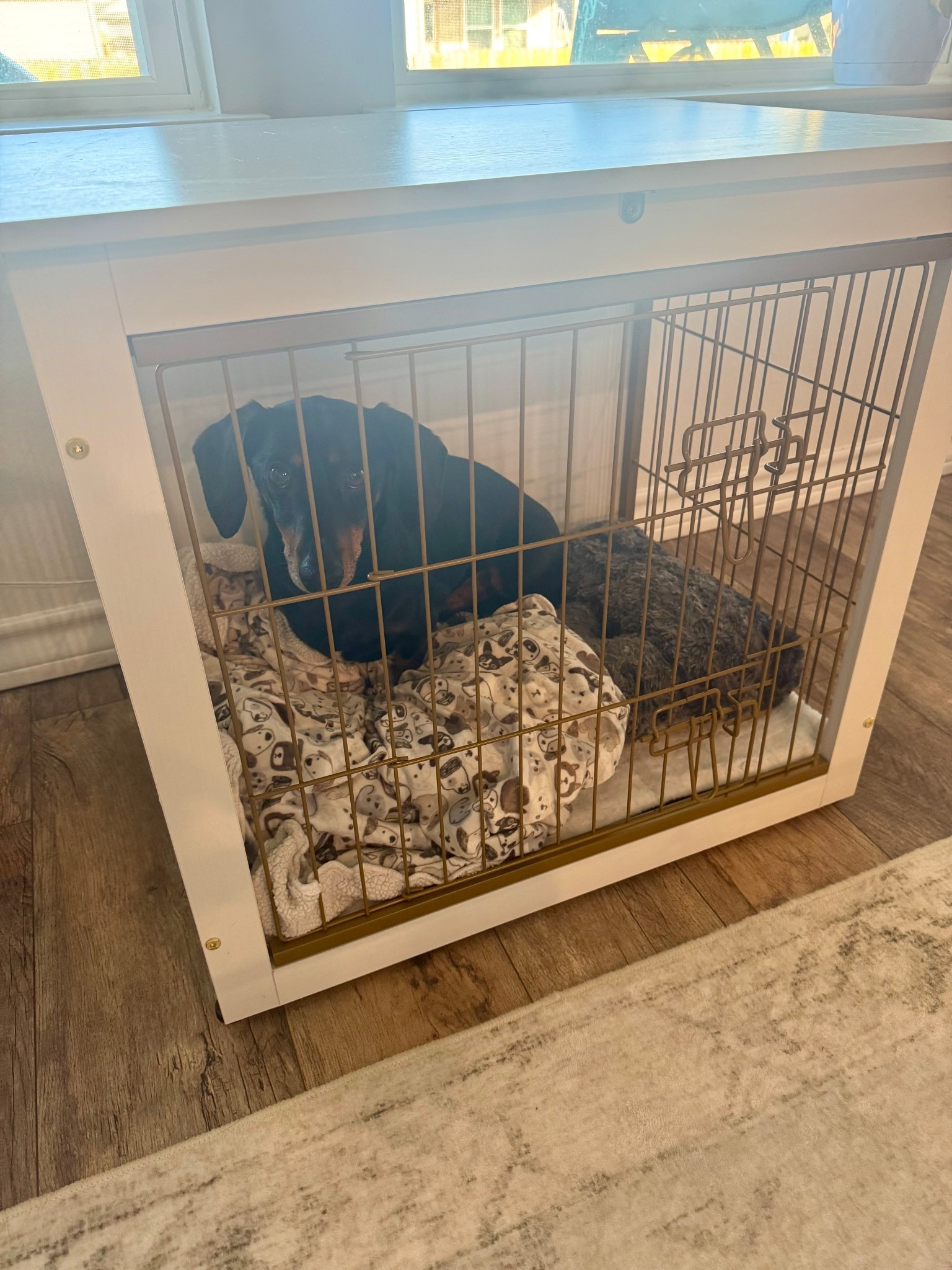 It’s time to ditch that black kennel get this gorgeous white and gold one to match your home! 🏠 #petdecor #dogkennel #pets #homedecor

#LTKPets #LTKFindsUnder100 #LTKHome