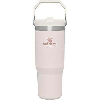 Stanley IceFlow Stainless Steel Tumbler with Straw - Vacuum Insulated Water Bottle for Home, Offi... | Amazon (US)