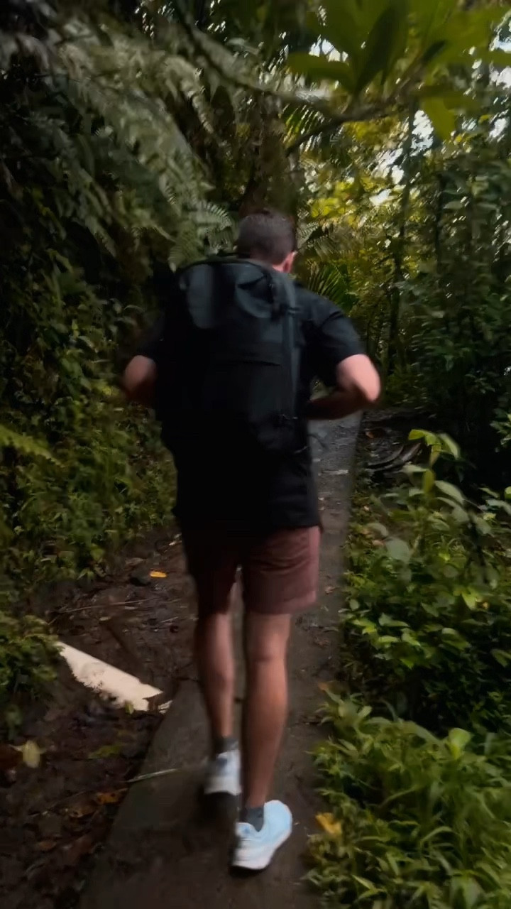 Puerto Rico Day 4 vlog 🐸🌦️

#LTKActive #LTKSeasonal #LTKTravel