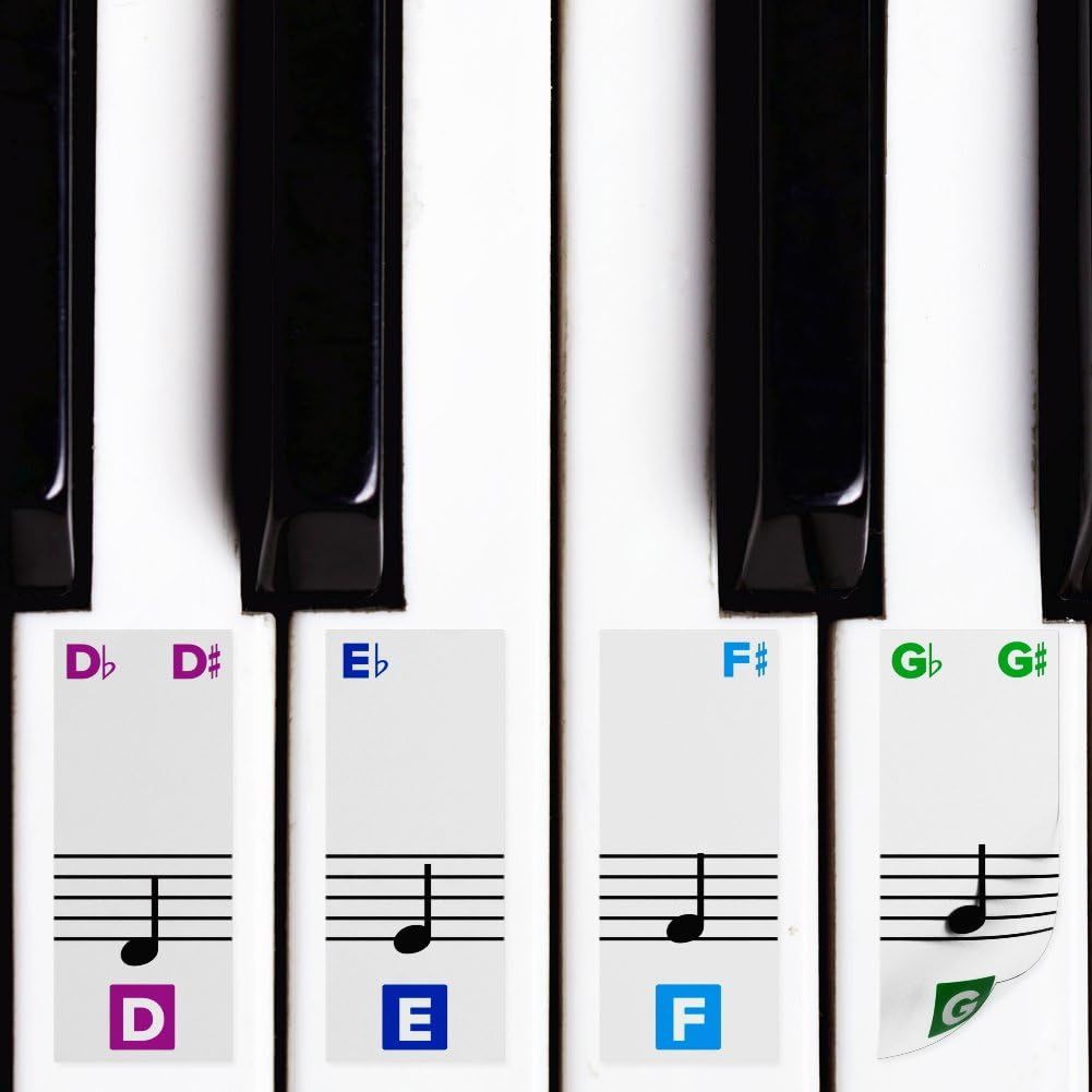 Color Piano Stickers for Keys w/Complete Printed Notes on Grand Staff - Removable w/Double Layer ... | Amazon (US)