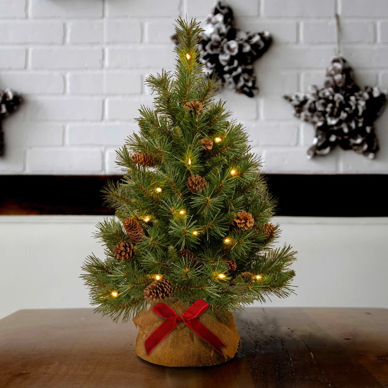 Alastair 3' Lighted Pine Christmas Tree | Wayfair North America