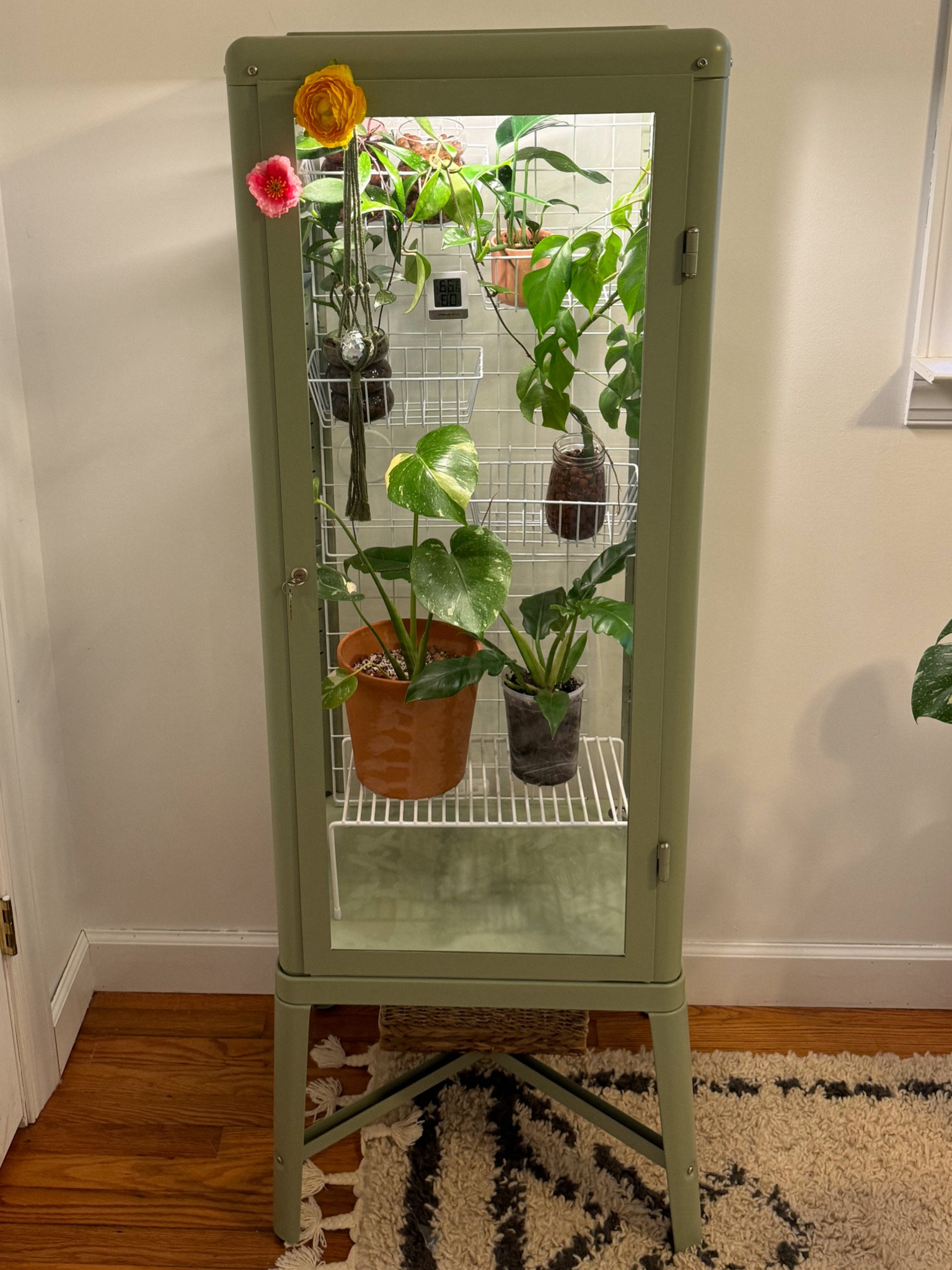 resetting my ikea greenhouse cabinet! 🪴 
tagged all plant things below! 

#LTKSaleAlert #LTKHome