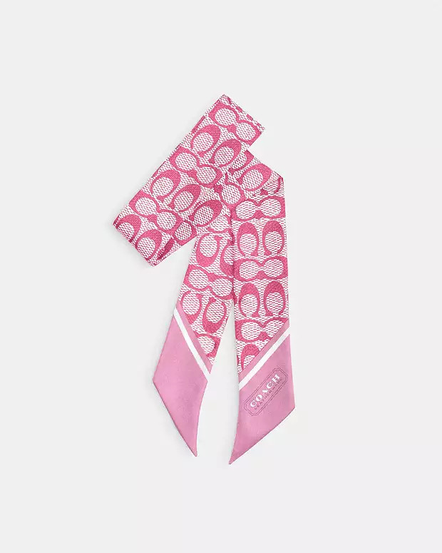 Textured Signature Print Silk Skinny Scarf | Coach (US)