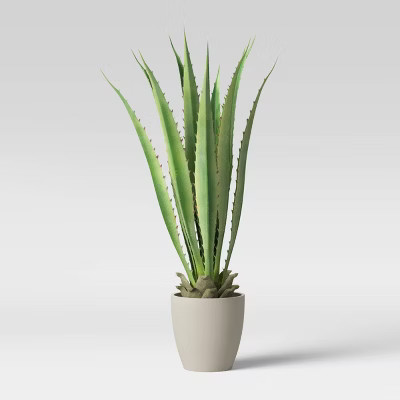 45" Agave in Cement Pot - Project 62™ | Target
