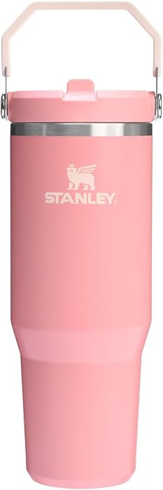 STANLEY IceFlow 2.0 Flip Straw Tumbler with Handle 30 oz | Twist On Lid and Flip Up Straw | Leakp... | Amazon (US)
