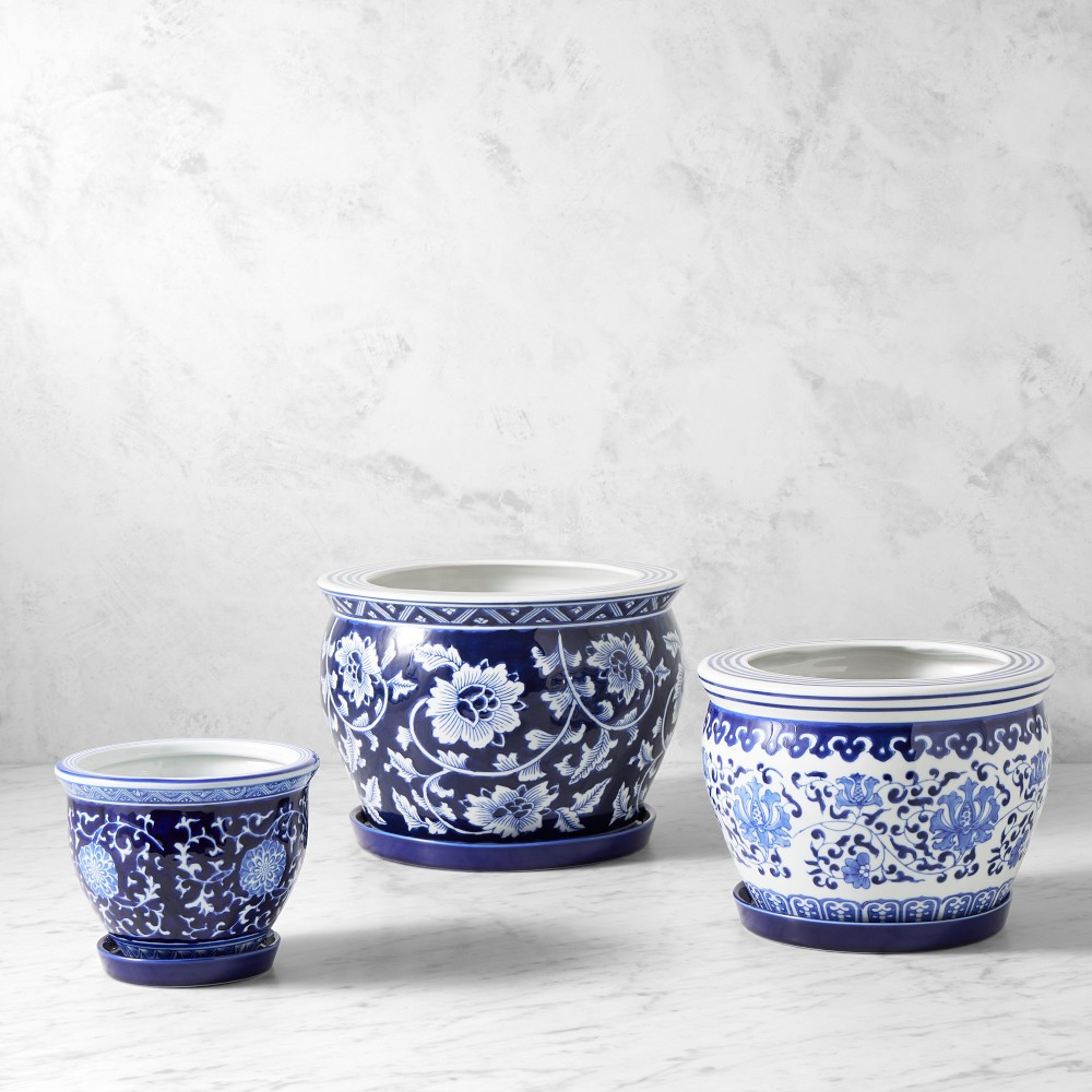 Blue and White Planter House Plant Set | Williams-Sonoma