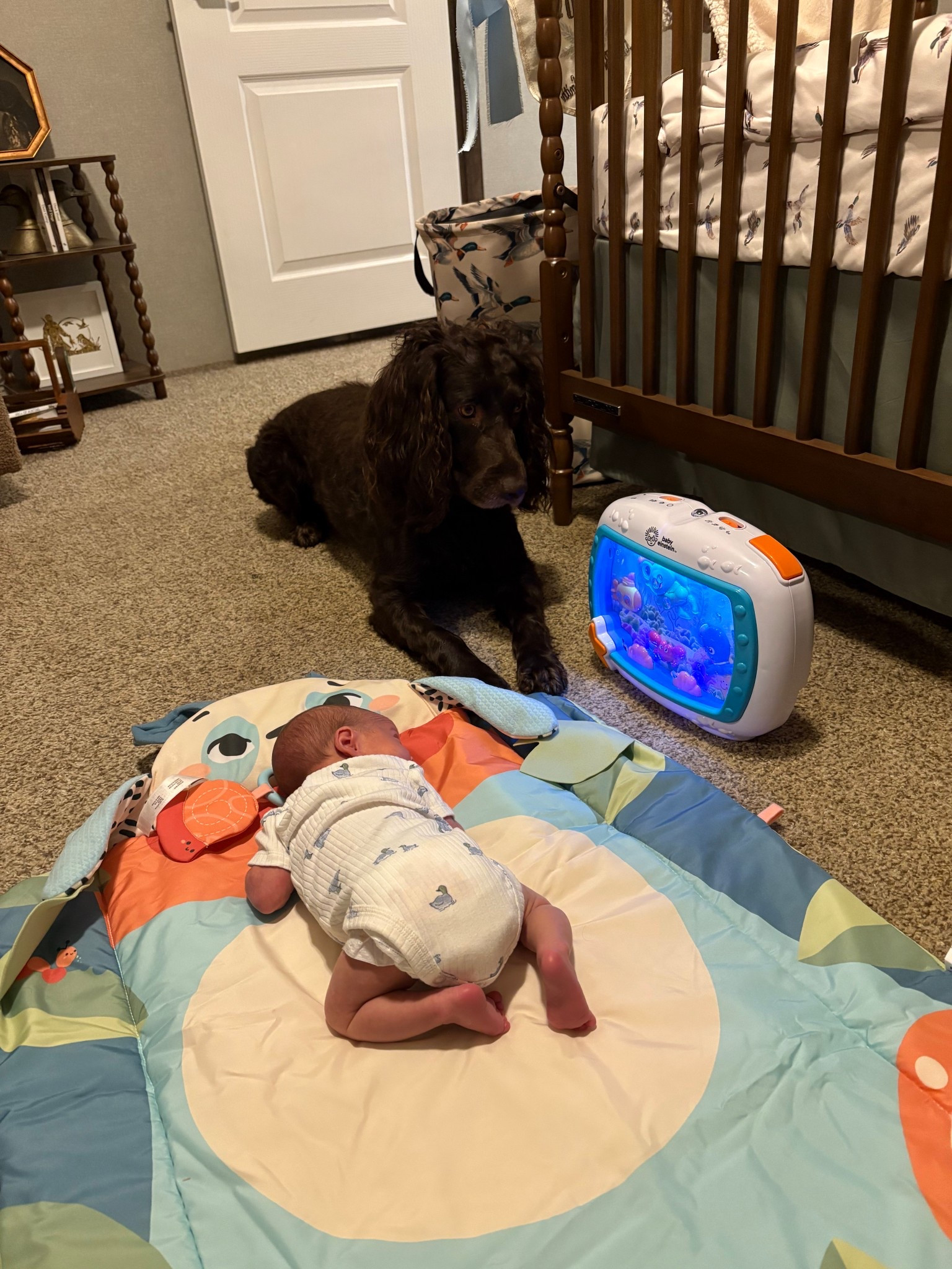 tummy time!!

#LTKBaby