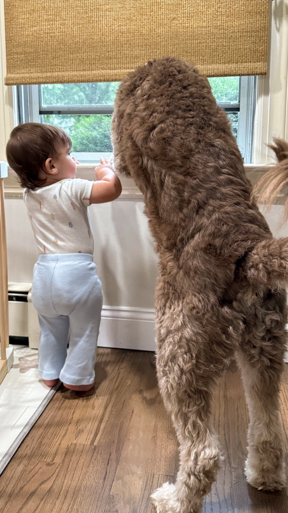 I need to join a support group for wife’s of Facebook market place addicts 🫠
-
You can shop some of valleys favorite clothing items hers though: 
-

#LTKmomlife #LTKBaby #LTKKids