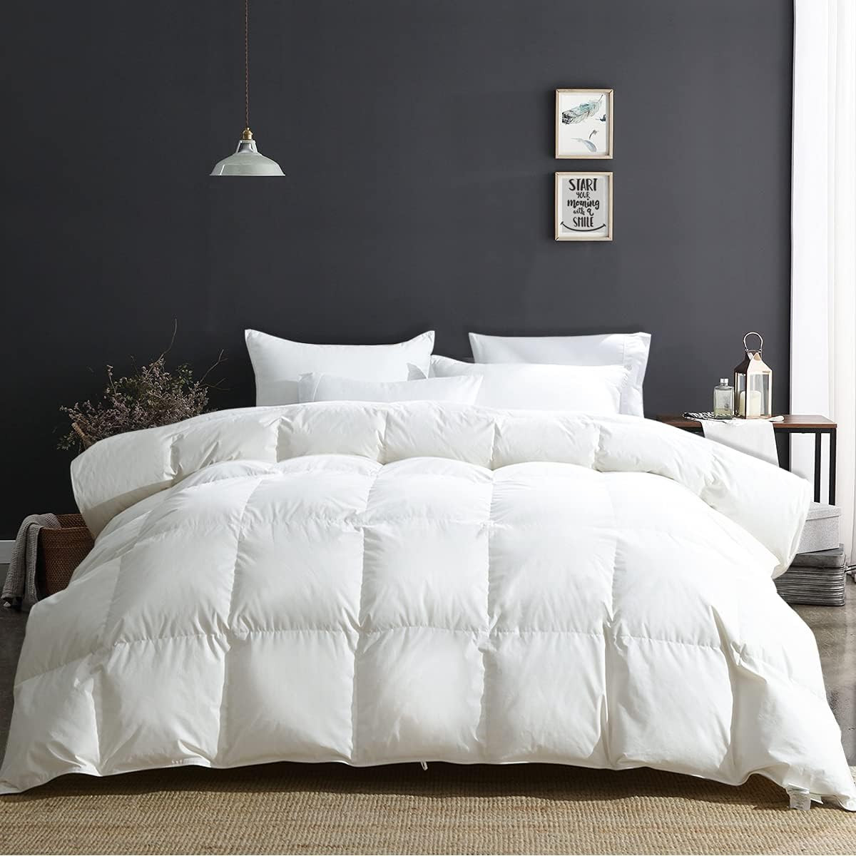 APSMILE King Size Luxury 100% Organic Cotton All Season Down Feather Fibers Comforter, Extra Fluf... | Amazon (US)