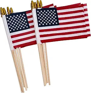 Uelfbaby 12 Pack Small American Flags on Stick, Small US Flags/Mini American Flag on Stick 4x6 In... | Amazon (US)