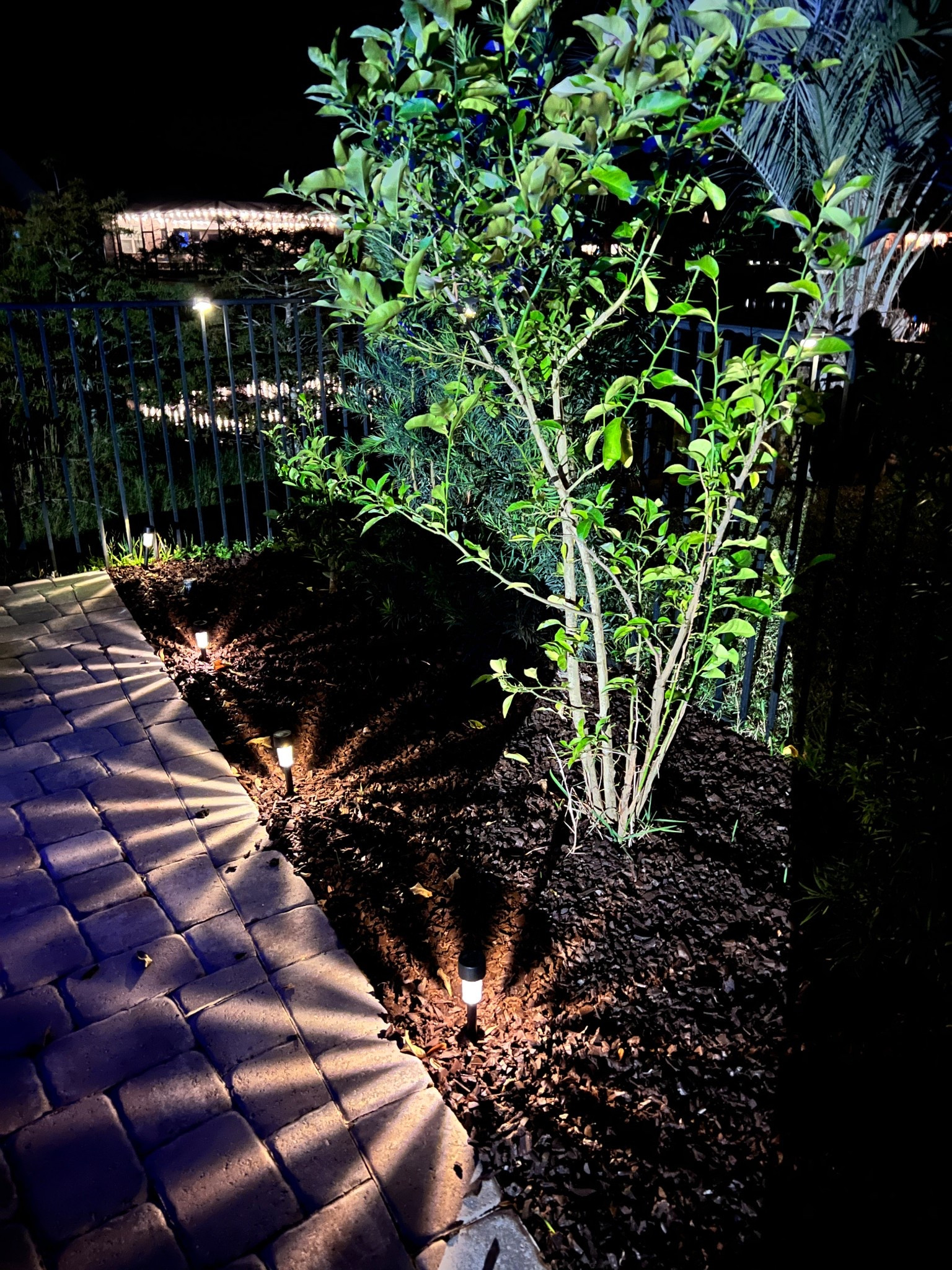 Ground solar lights are Walmart and fence are Amazon :) 

#LTKFallSale #LTKFindsUnder50