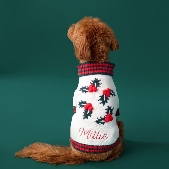 KNIT DOG SWEATER

Keep your pup warm with this cozy knit sweater. These super soft sweaters are available in extra small to large sizes and feature a small opening in the back so you can easily access your dog's collar when you are headed out for a walk. Have your pup’s name embroidered on the sweater for a personal touch.

#LTKSeasonal #LTKootd #LTKActive