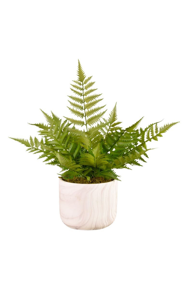 Potted Fern Planter Decoration | Nordstrom | Nordstrom