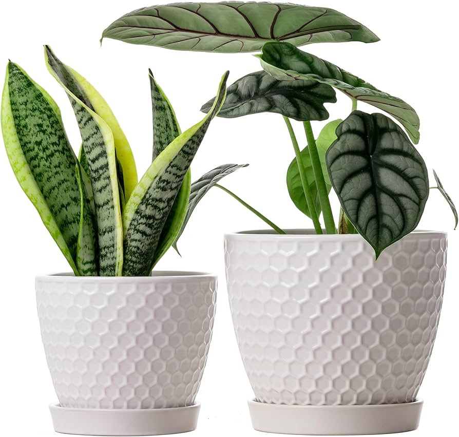 Docrin Ceramic Plant Pots Set of 2 (6.6"+5.5"), High-Fired Clay Indoor Planters with Drainage Hol... | Amazon (US)