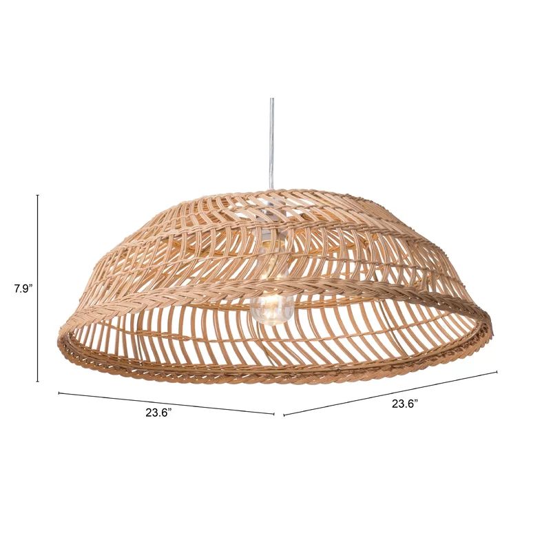 1 - Light Single Dome Pendant | Wayfair North America