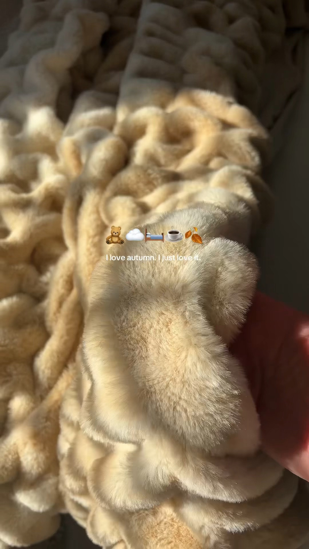 Blanket, fur blanket, faux fur, throw blanket, home decor, bedding, master bedroom, home, cozy at home, cozy, home inspo

#LTKHome #LTKSaleAlert