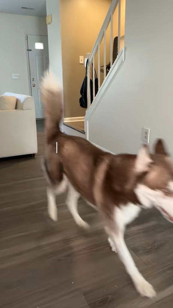 We do everything to make sure she's in as good shape as possible 

 #LTKdayinmylife #LTKmorningroutine #LTKstorytime