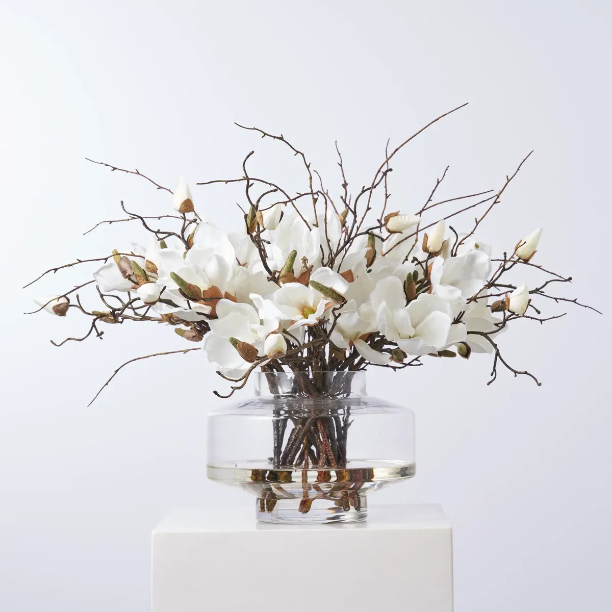 Magnolia Blooms & Branches In Large Modern Saucer Style Vase Everyday Spring Water Illusion Arran... | Darby Creek Trading