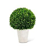 K&K Interiors 17263B 17 Preserved Boxwood Ball in Whitewash Pot, Green | Amazon (US)