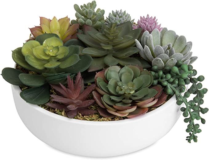MyGift Artificial Succulent Pots, 8-Inch Modern Assorted Faux Succulents Plants Arrangement with ... | Amazon (US)