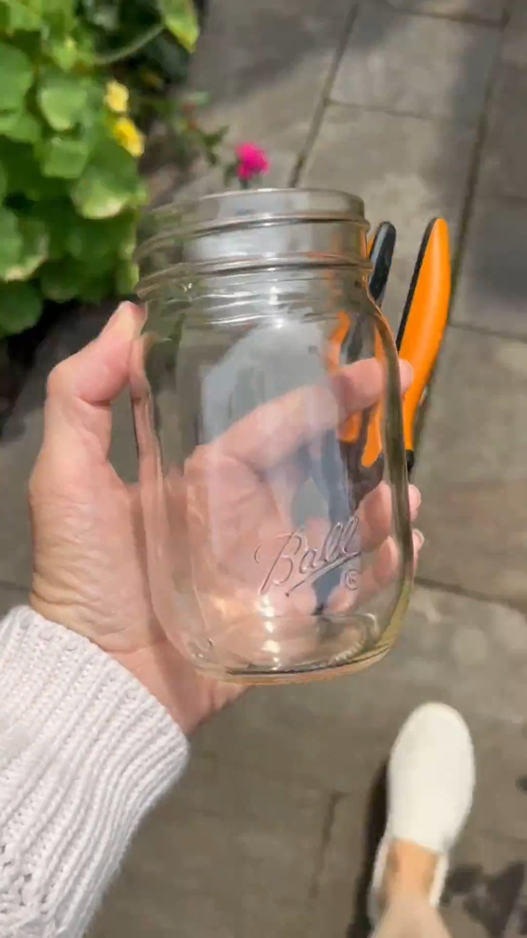 Snipping some herbs to make tea. I’m using my favorite mini snips by Fiskars and a trusty mason jar to collect the cuttings.

Wearing my favorite slip on keds and sweater by Universal Threads. 

#LTKSeasonal #LTKHome #LTKFamily