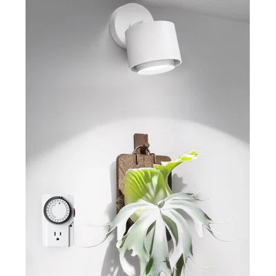 Barrina Tr40a Track Grow Light For Indoor Plants, 40w Wall-mounted Grow Bulbs With Adjustable Beam Angle (15°-60°), 5000k Full Spectrum Plant Spotligh | Wayfair North America