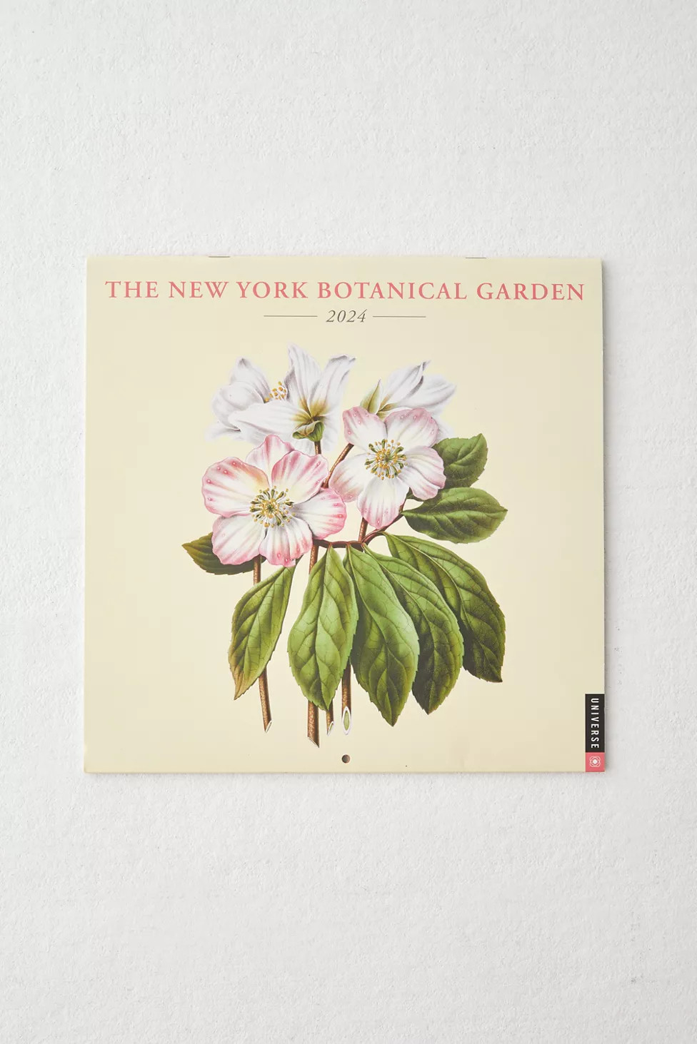 New York Botanical Garden 2024 Wall Calendar | Urban Outfitters (US and RoW)