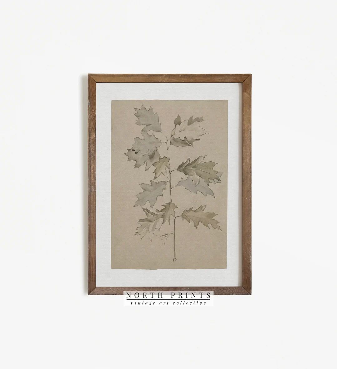 Vintage Sketch Botanical Oak Branch Drawing Neutral - Etsy | Etsy (US)
