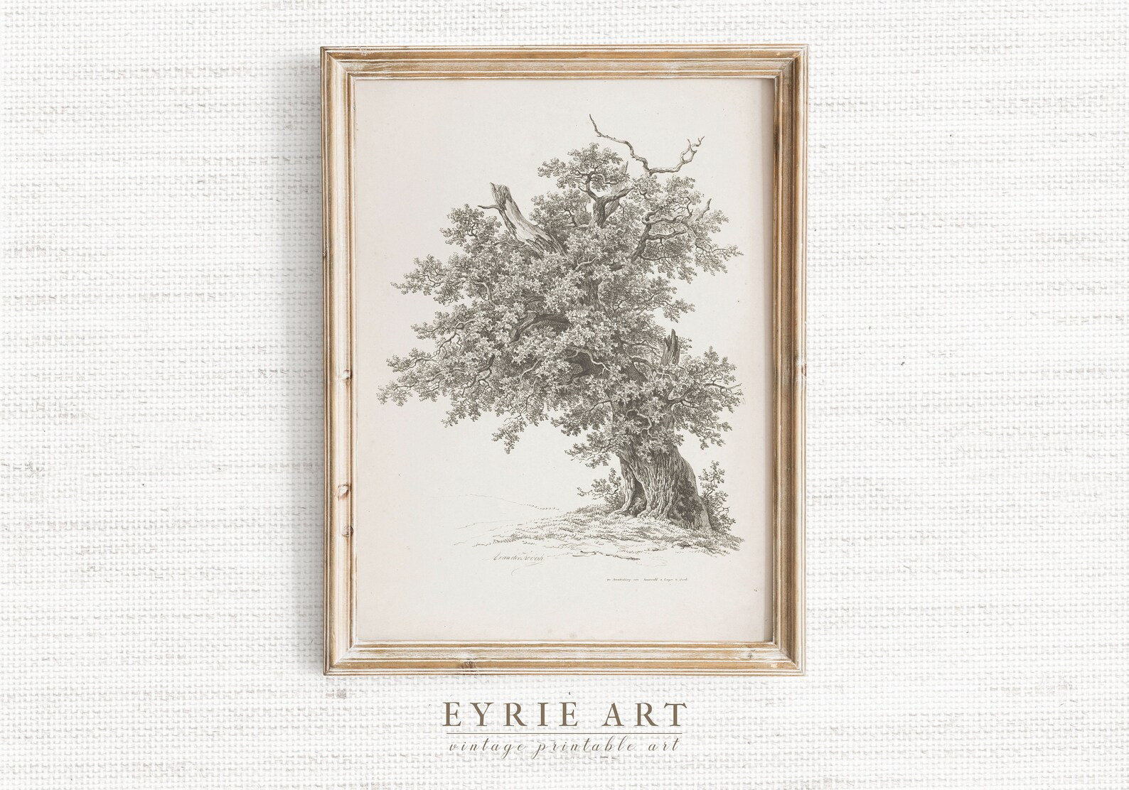 Mountain Landscape Print SET of 5 Vintage Gallery SET of - Etsy | Etsy (US)