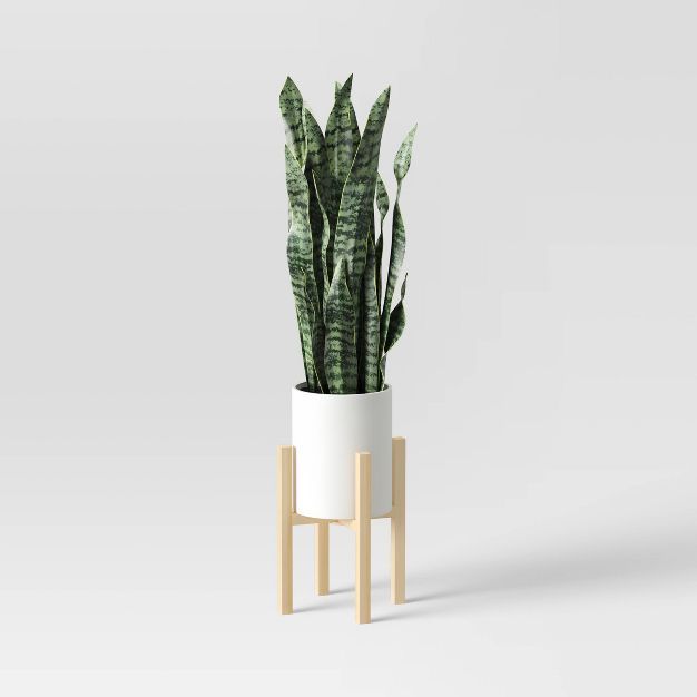 Snake Plant in Plant Stand - Threshold™ | Target